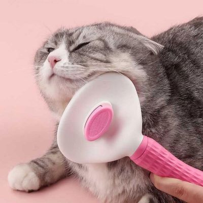 FurryFusion Peigne pour chat et chien