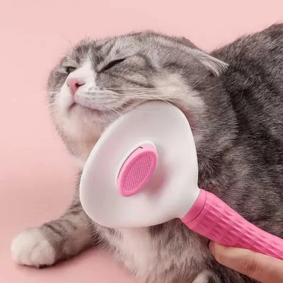 FurryFusion Peigne pour chat et chien