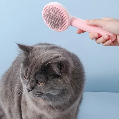 FurryFusion Brosse de toilettage pour chat