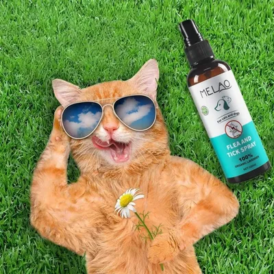 FurryFusion Spray antipuces pour chien et chat