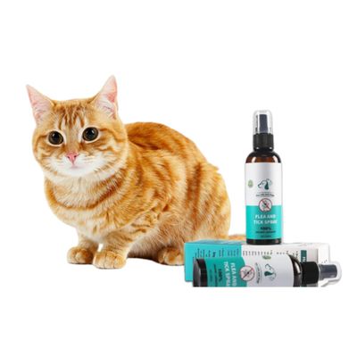 FurryFusion Spray antipuces pour chien et chat