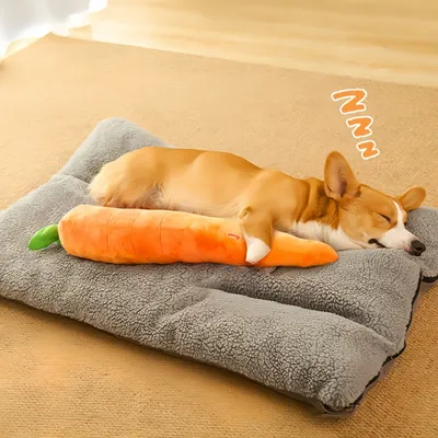 FurryFusion Jouet en peluche pour chien en forme de carotte-75cm