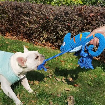 FurryFusion caméléon Jouet en peluche pour chien