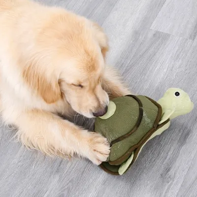 FurryFusion Jouet en peluche pour chien en forme de tortue