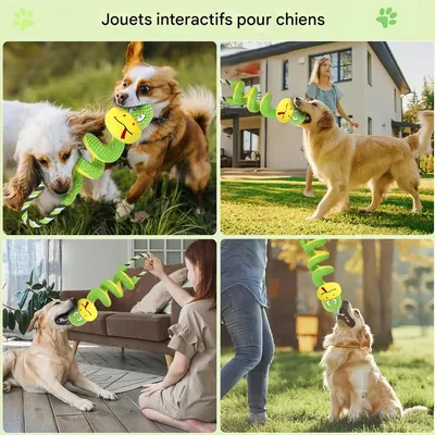 FurryFusion Jouet pour chien Serpent à ressort