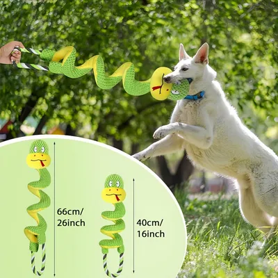 FurryFusion Jouet pour chien Serpent à ressort