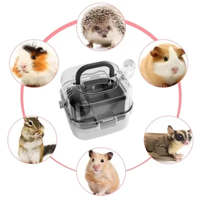 FurryFusion Cage de transport pour petits animaux