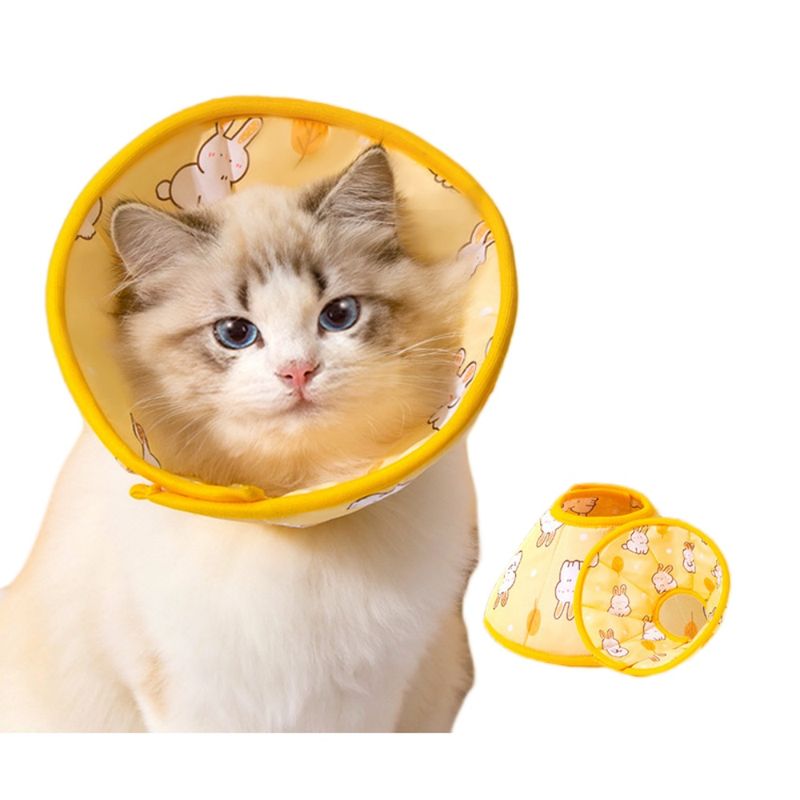 FurryFusion Collier de récupération pour animaux de compagnie