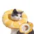 FurryFusion Collier anti-léchage pour chat
