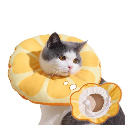 FurryFusion Collier anti-léchage pour chat