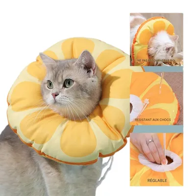 FurryFusion Collier anti-léchage pour chat