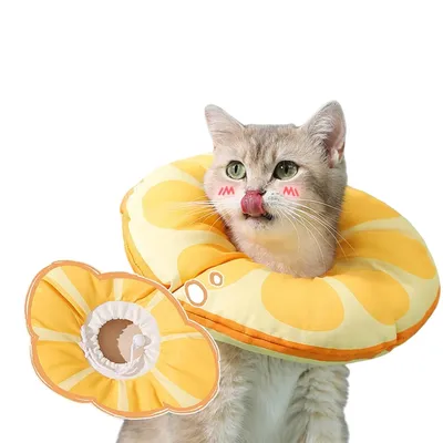FurryFusion Collier anti-léchage pour chat