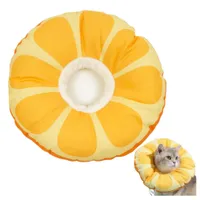 FurryFusion Collier anti-léchage pour chat