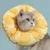 FurryFusion Collier anti-léchage pour chat
