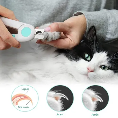 FurryFusion Coupe - ongles pour chien et chat