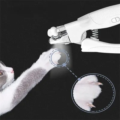 FurryFusion - Tondeuse d'Ongles pour Animaux avec LED