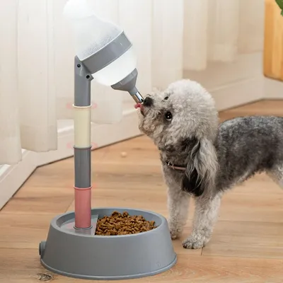 FurryFusion Distributeur d'eau pour chien et chat