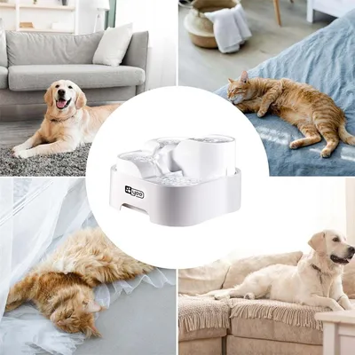 FurryFusion - Dispenseur d'eau à eau circulante pour chats