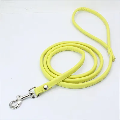 FurryFusion Laisse de Chien à Pister - 2m