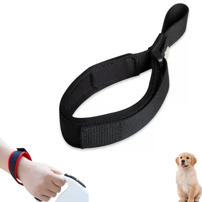 FurryFusion Laisse courte pour chien