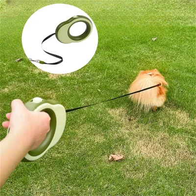 FurryFusion - Corde de Traction Rétractable pour Chiens (3,5 m)