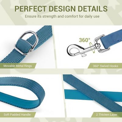 FurryFusion Laisse pour chien - réglable sur 3 positions