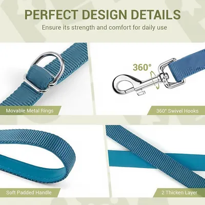 FurryFusion Laisse pour chien - réglable sur 3 positions