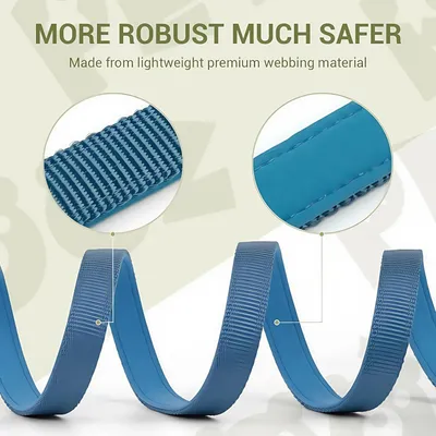 FurryFusion Laisse pour chien - réglable sur 3 positions