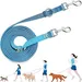 FurryFusion Laisse pour chien - réglable sur 3 positions