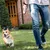 FurryFusion Laisse courte pour chien