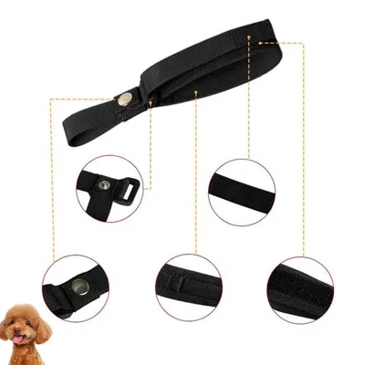 FurryFusion Laisse courte pour chien