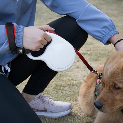 FurryFusion Laisse courte pour chien