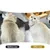FurryFusion Huile de soin capillaire pour animaux