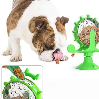 FurryFusion Distributeur de friandises rotatif pour chat