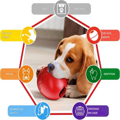 FurryFusion Jouet à alimentation lente pour chien