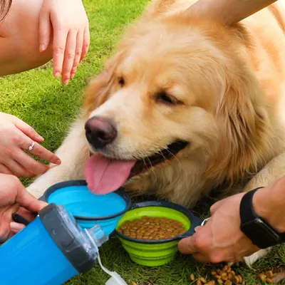FurryFusion Bouteille d'eau et nourriture 2 en 1 pour chien