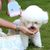 FurryFusion Distributeur de friandises pour chien