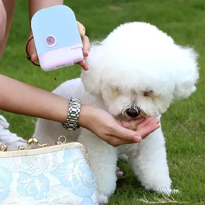 FurryFusion Distributeur de friandises pour chien