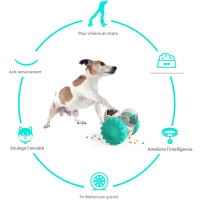 FurryFusion Jouet distributeur de nourriture pour chien et chat