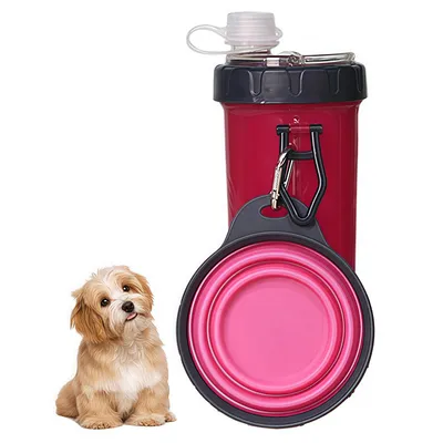 FurryFusion Bouteille d'eau et nourriture 2 en 1 pour chien