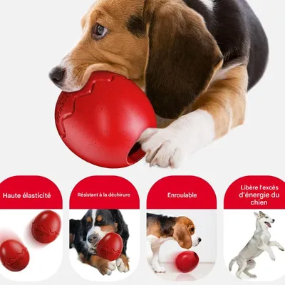 FurryFusion Jouet à alimentation lente pour chien