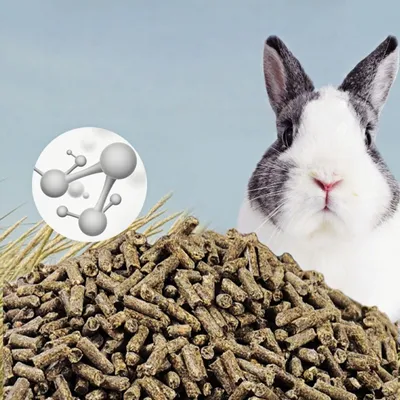 FurryFusion Premium Rabbit Food - 800g