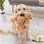FurryFusion Poudre de soin des articulations pour animaux de compagnie 120g