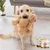 FurryFusion Poudre de soin des articulations pour animaux de compagnie 120g