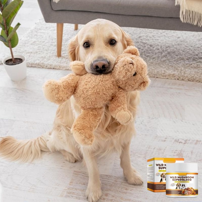 FurryFusion Poudre de soin des articulations pour animaux de compagnie 120g