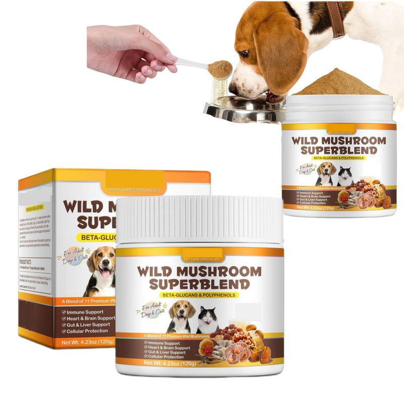 FurryFusion Poudre de soin des articulations pour animaux de compagnie 120g