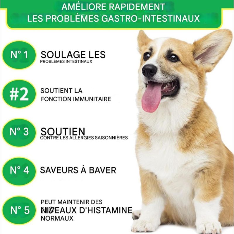 FurryFusion Comprimés à mâcher de probiotiques pour animaux de compagnie
