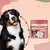 FurryFusion Vitamines au goût de canard pour chats et chiens 120 comprimés