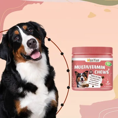FurryFusion Vitamines au goût de canard pour chats et chiens 120 comprimés
