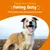 FurryFusion Complément pour Chien sous Forme de friandise